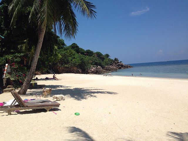 sunny greetings to all of you ️ #auszeit #auszeitgönnen #holidays #beachtime #thailand #kohphangan
